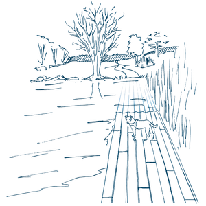 Drawing of a dog waiting on flooded pathway